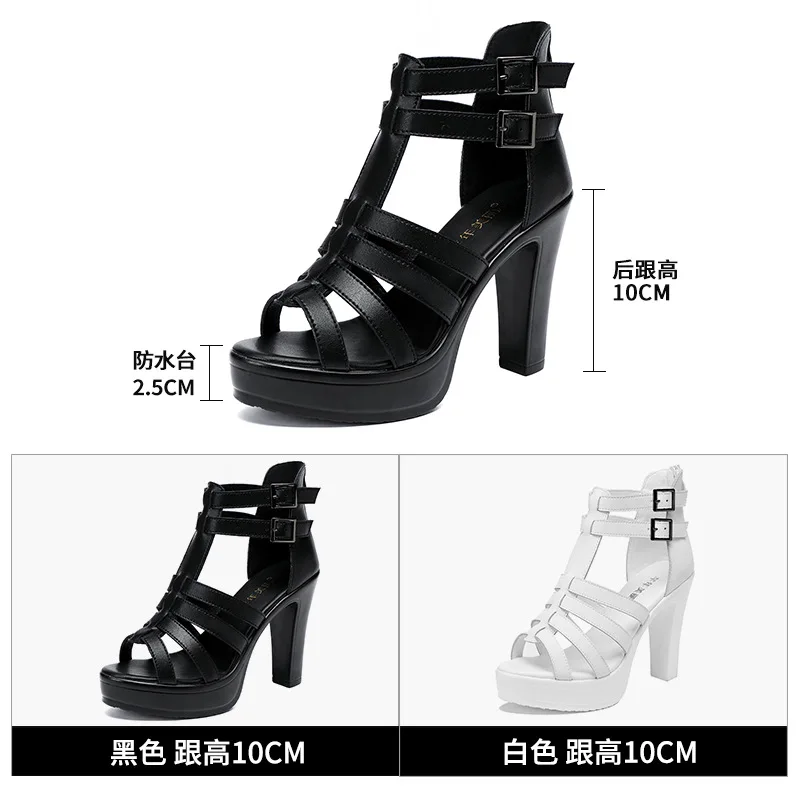Gladiator Ladies Shoe for Wome - Casual Sandal Leather 리뷰 및 가격